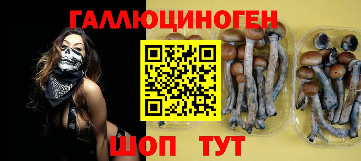 Галлюциногенные грибы GOLDEN TEACHER Отрадный