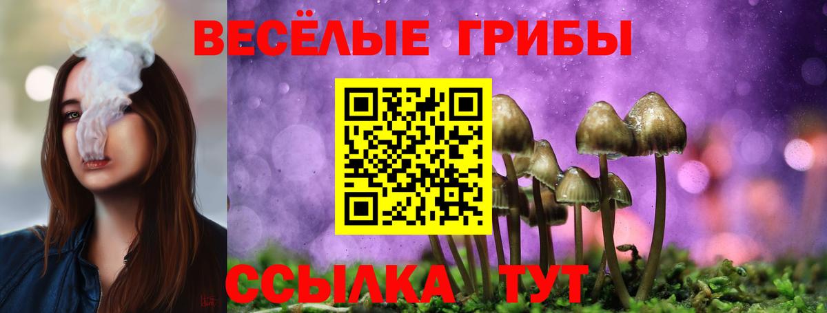Псилоцибиновые грибы Magic Shrooms  Вход с VPN  Отрадный 